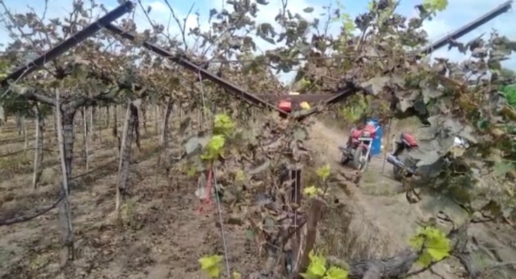 शेतीकर्ज थकबाकीदार 102 शेतकऱ्यावर कारवाई……….. 2 कोटी 30 लाख 63 हजार थकले