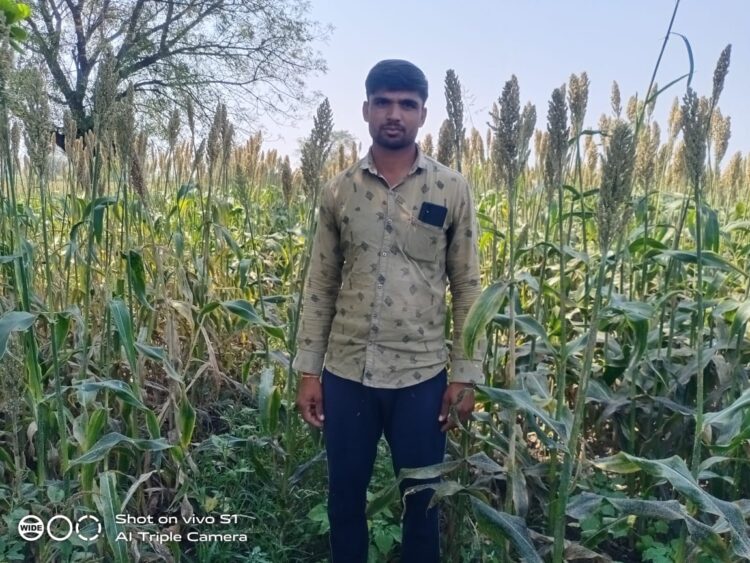 तऱ्हाडी येथील शेतकऱ्यांनी घेतलेल्या रब्बी ज्वारीचे बियाणे बोगसतक्रार करूनही दखल घेतली नाही