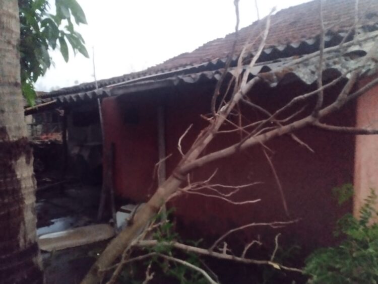 महाडः पडवी पठार येथे अवकाळी पाऊस वादळी वार्‍या सह झालेल्या नुकसानी मुळे गावकरी चिंताग्रस्त.