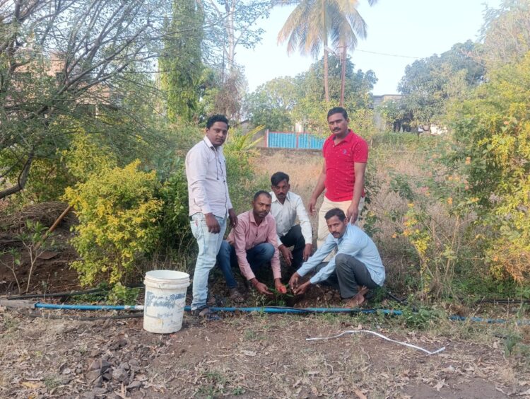 कुरळप येथे राष्ट्रीय अध्यक्ष संतोष (दादा)चौधरी यांच्या वाढदिवसानिमित्त वृक्षारोपण संपन्न