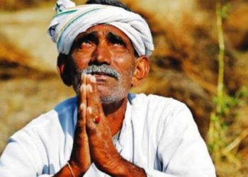 माहूर तालुक्यात तीन दिवसापासून पाऊस नाही. शेतकऱ्यांची चिंता वाढली