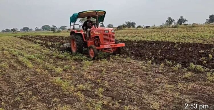 तीन एकर हरबरा पिकांवर फिरवला रोटा,अतिवृष्टीचा हरबरा पिकांना फटका दूबार पेरणीचे सकंट