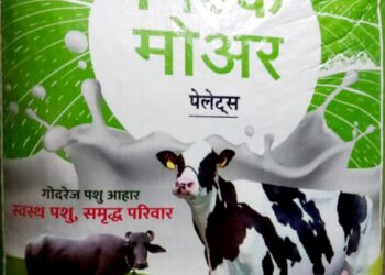 आटपाडी तालुक्यात चाऱ्याचा दर भडकला, दुधाला मात्र कवडीमोलाची किंमत …शेतकऱ्यांचे आर्थिक गणित कोलमडले; दुग्ध उत्पादक आला डपघाईला..