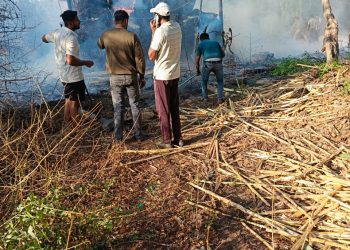 तऱ्हाडी येथे भीषण आग; गुरांचा चारा जळून खाक, शेतकऱ्यांचे मोठे नुकसान