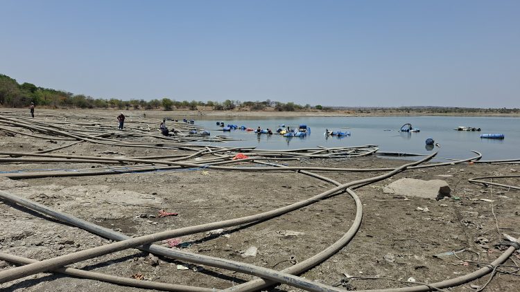 आटपाडीतील तलावातील विद्युत पंपाच्या केबलची चोरी 50–60 शेतकऱ्यांना फटका, लाखोंचे नुकसान!केबल चोरीची तिसरी घटना, पोलिसांच्या कारवाईकडे शेतकऱ्यांचे लक्ष