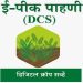 पिक पाहणीचे अधिकार असलेले अधिकारीच शेतकऱ्यांना देताहेत ठेंगा!ई-पीक पाहणीसाठी हेलपाटे; वेळेत नोंदी होत नसल्याने अनुदान व पीकविम्यावर परिणाम